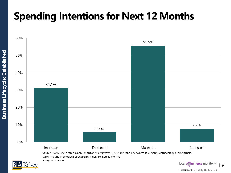 2015 Spend Intentions for Established SMBs